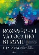 Rozsvěcení vánočního stromu 2024